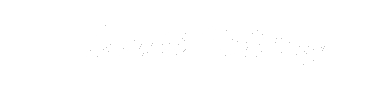 Logo David Soltany Signature